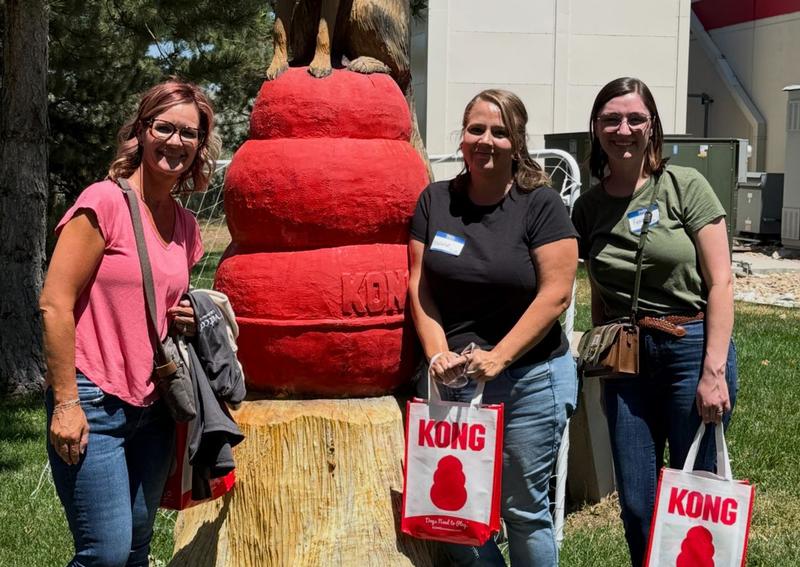 Carousel Slide 15: 